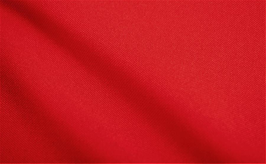 uploaded/item00402/689d52fedecarballodia2995.jpg